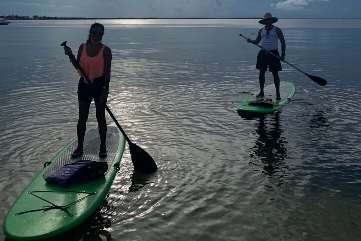  Key Largo 1 Hour Kayak or Paddle Board Rental - Photo 1 of 6